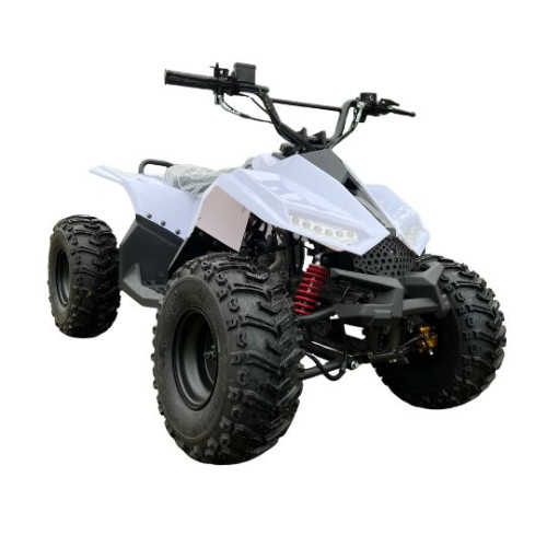 საბავშვო კვადროციკლი 125CC (თეთრი)